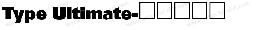 Type Ultimate字体转换